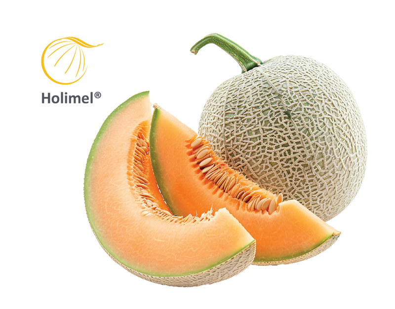 SOD Holimel® Melon Extract