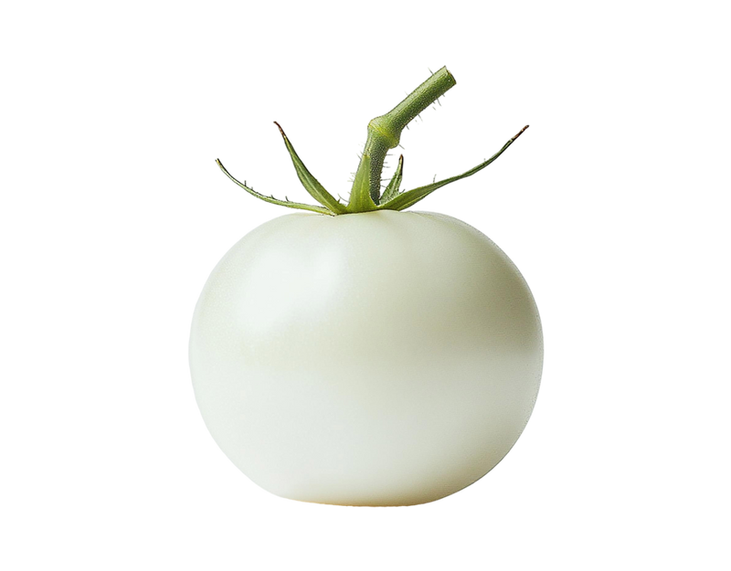 White Tomato Extract